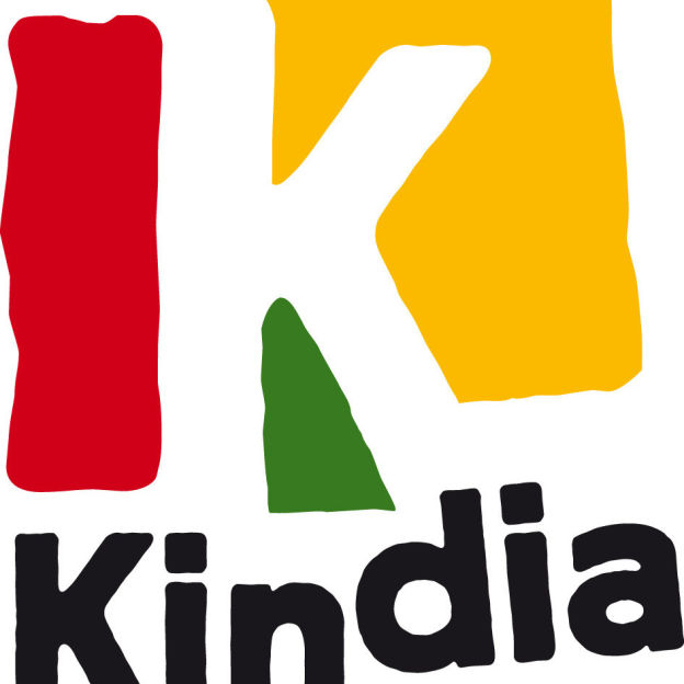 « Kindia 2015 », des actions humanitaire en Guinée – Chronique France Info du 31 octobre 2013